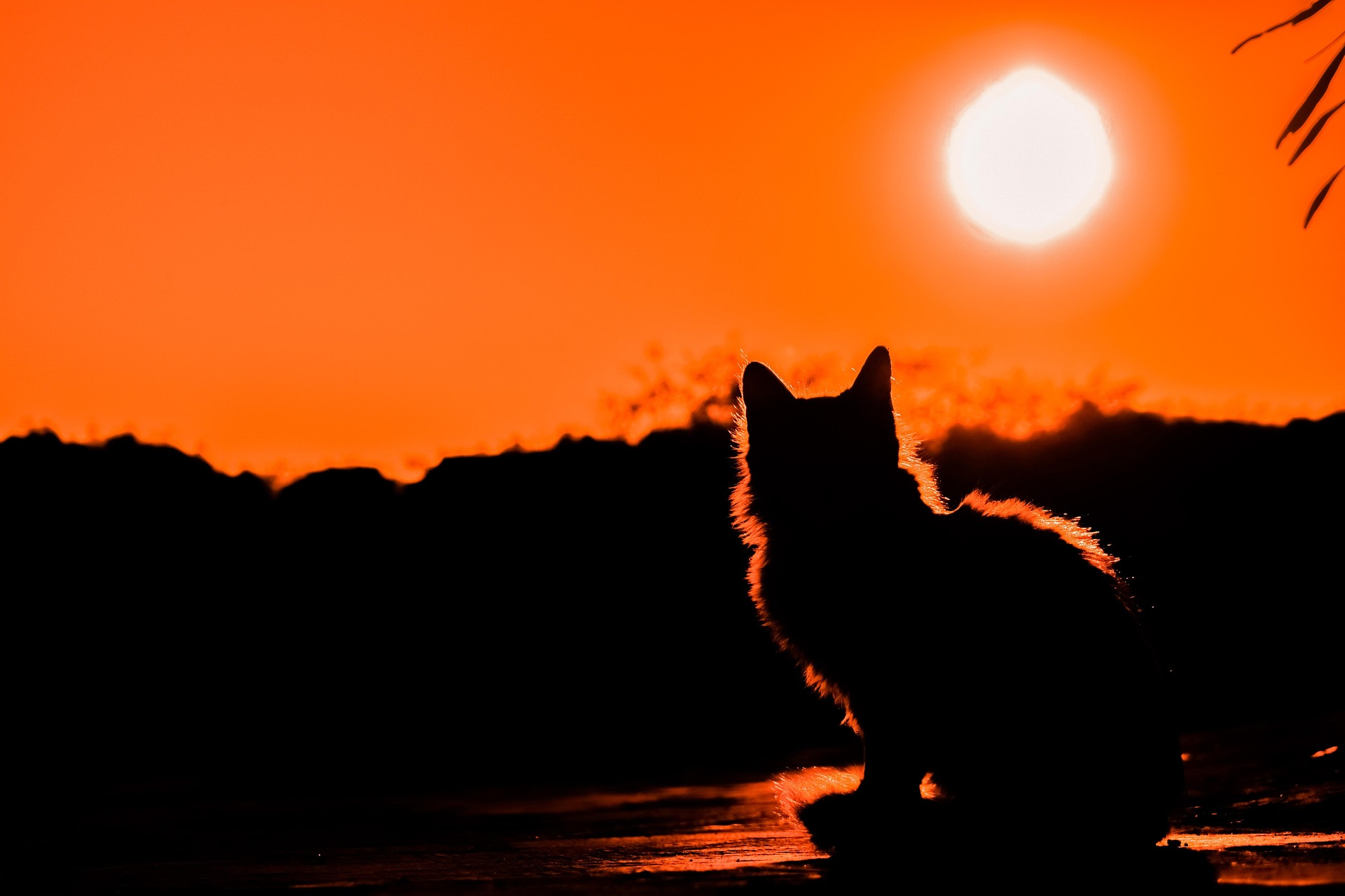 pixabay.com