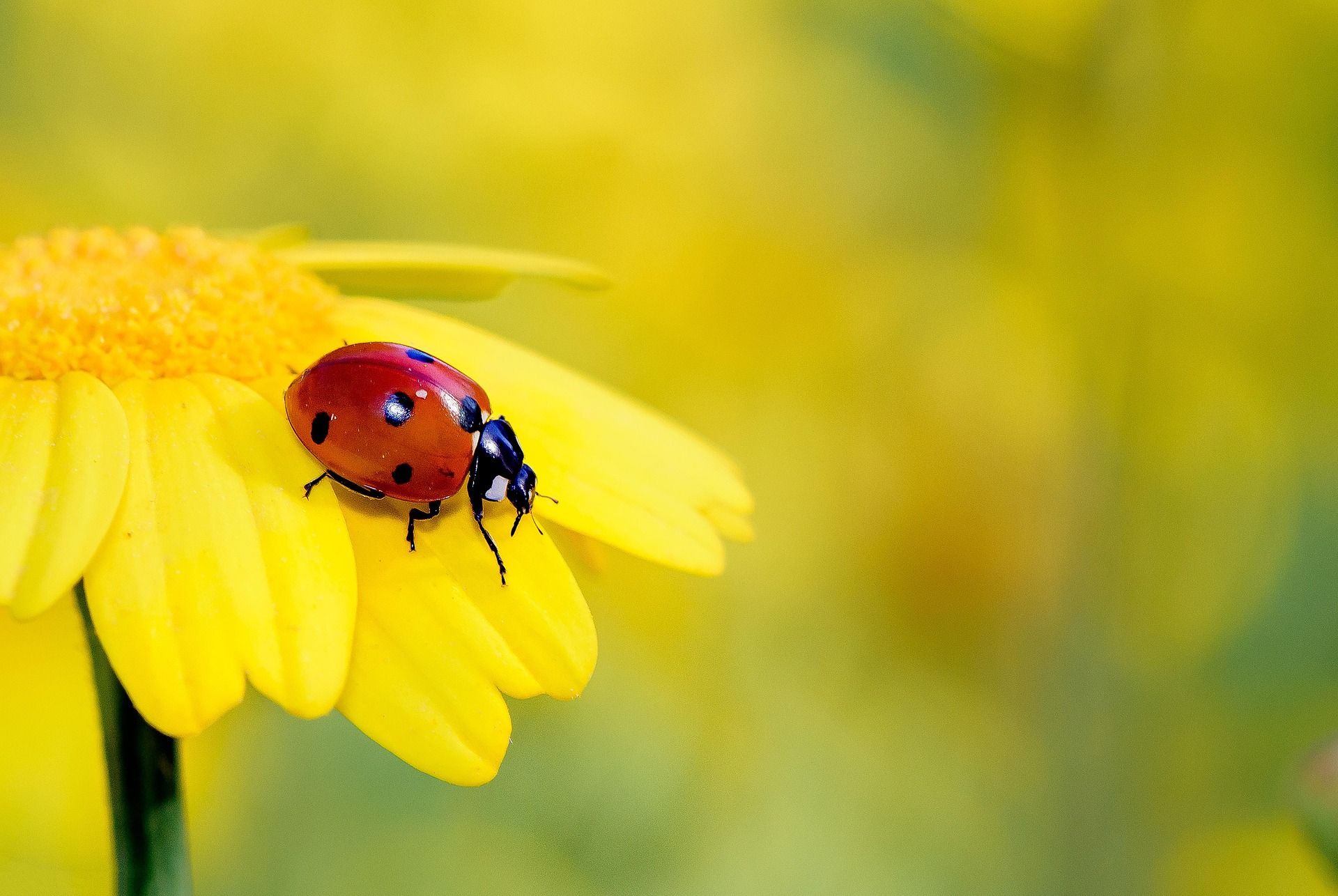pixabay.com