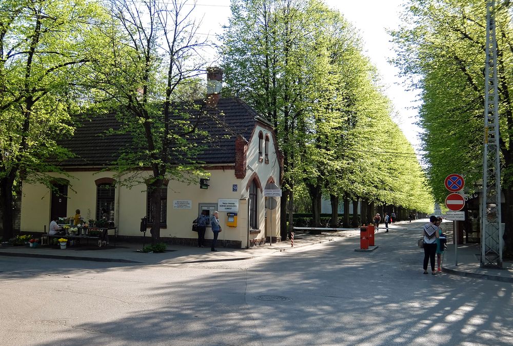 Foto: соцсети