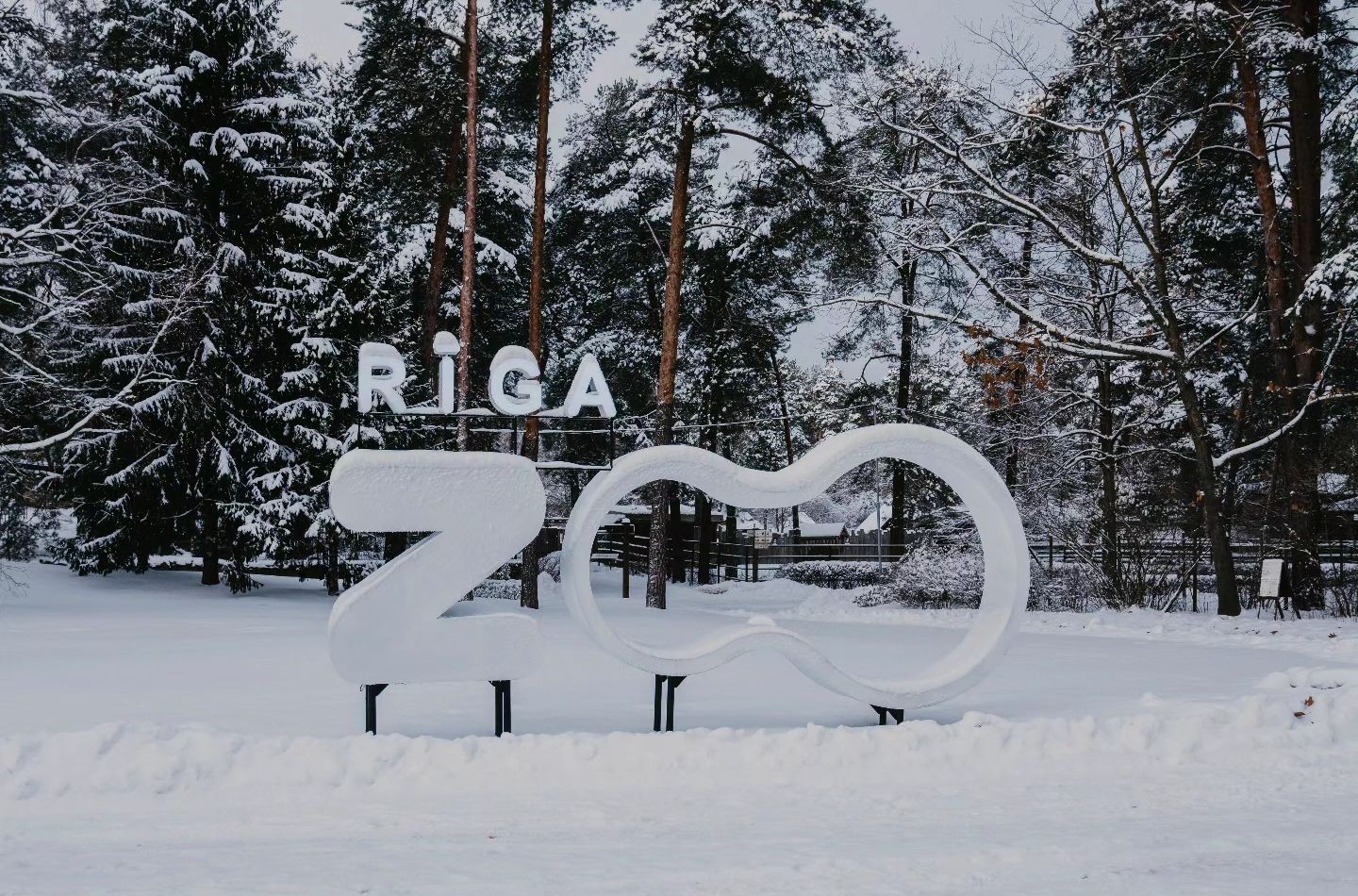 Facebook.com / Rīgas Zoodārzs/Riga Zoo
