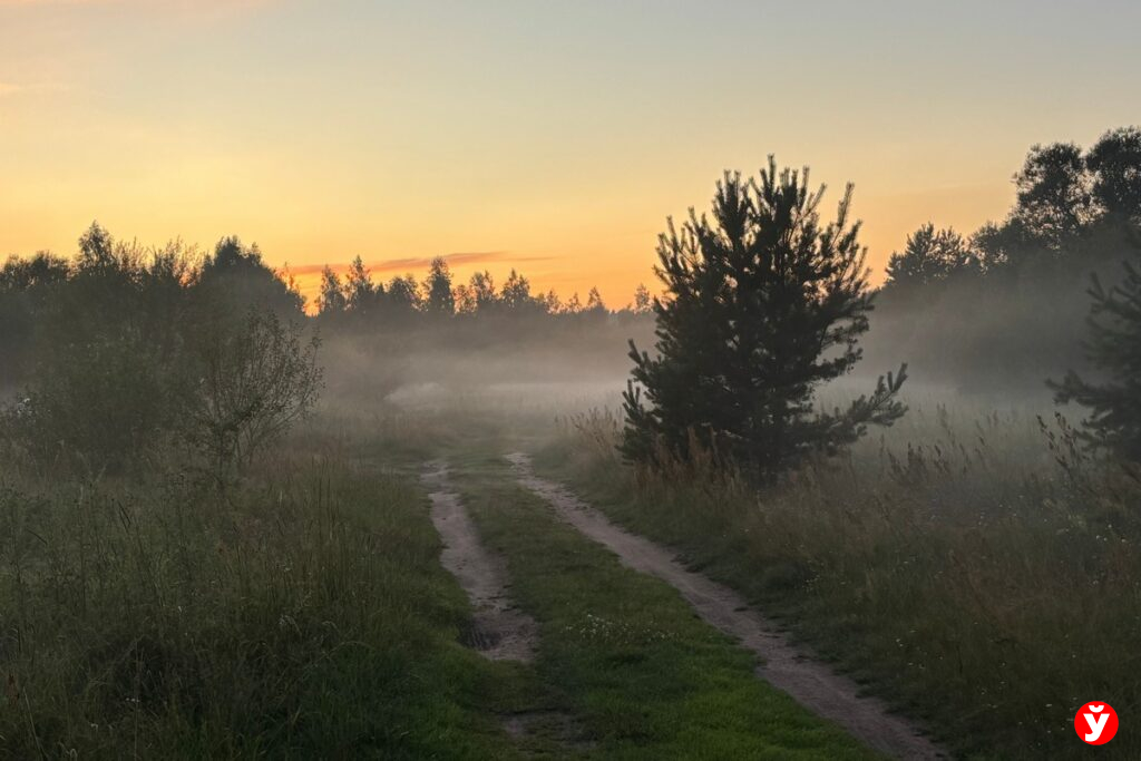 Foto: соцсети