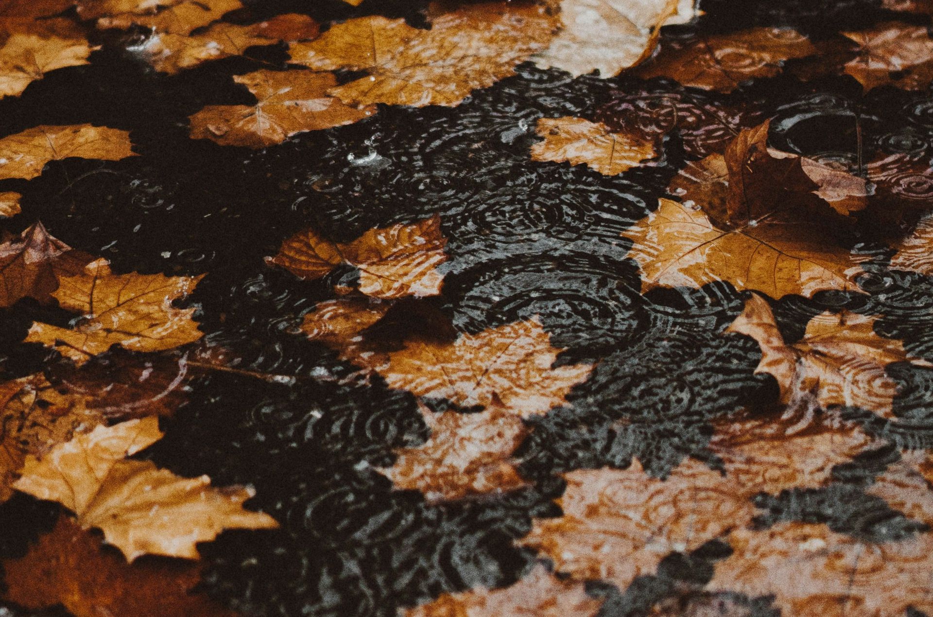 Unsplash.com
